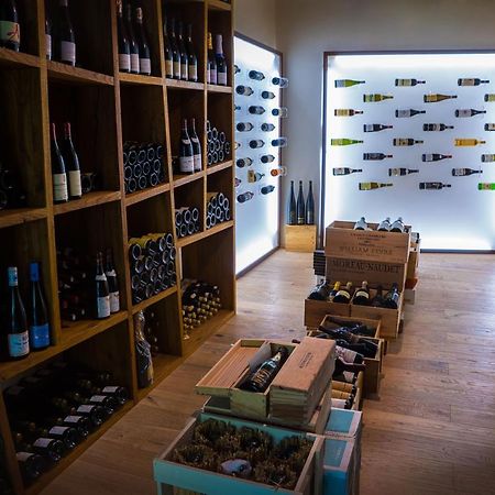 Locanda Del Pesce Briaco, B&B Лукка Екстер'єр фото